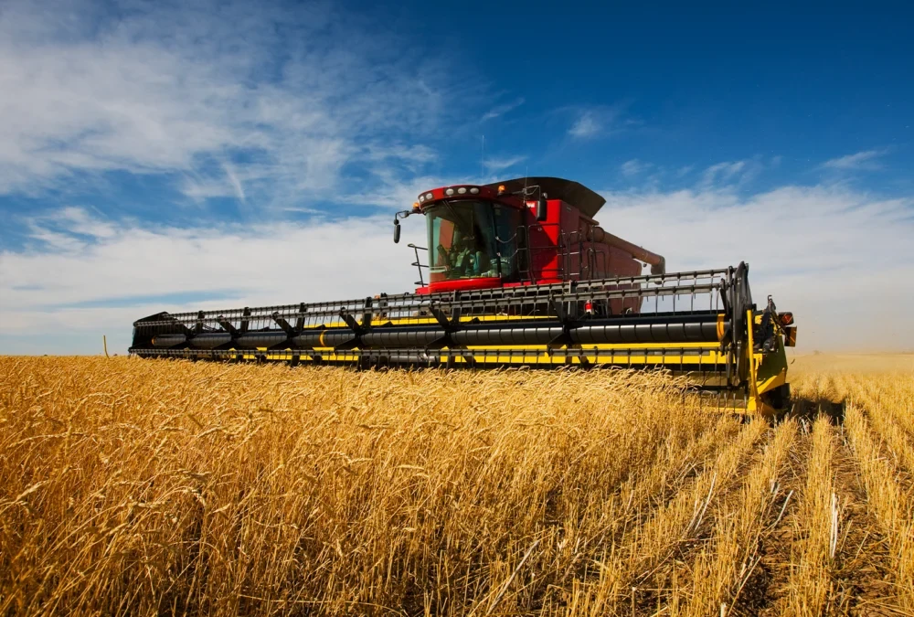 Combine harvester cutting a field of wheat