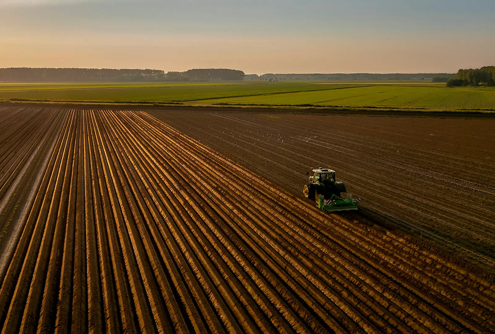 Tractor working across a ploughed field at dusk